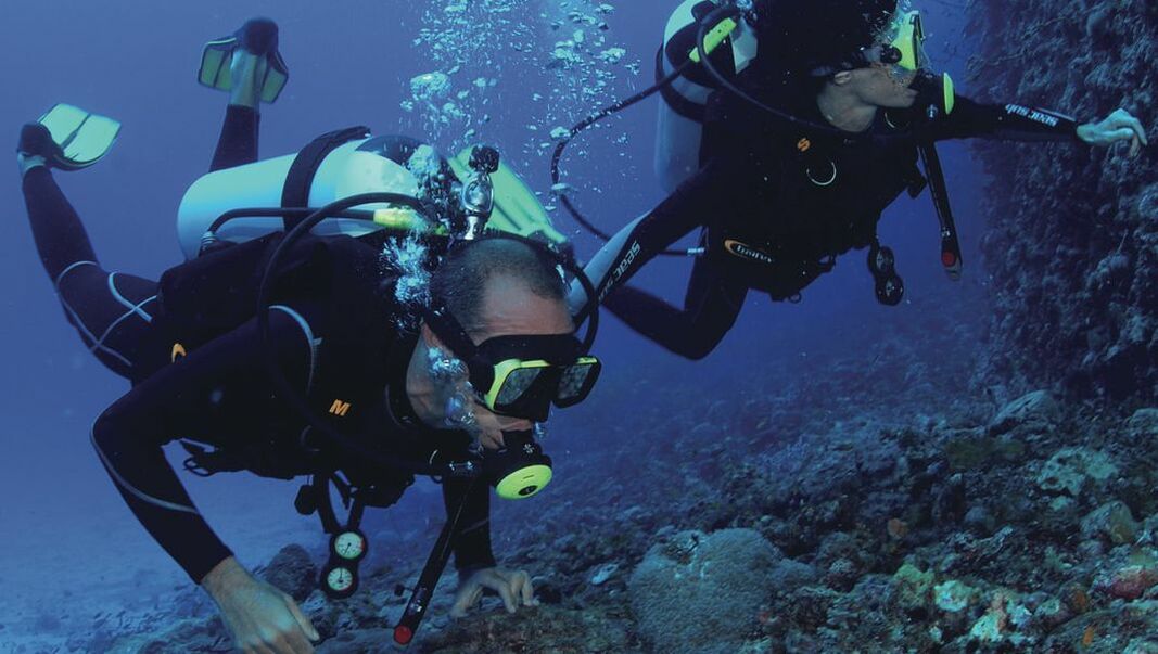 Zwei Taucher unter Wasser bei der Erkundung eines Korallenriffs