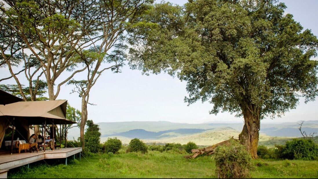 Aussicht auf die üppige Vegetation des Ngorongoro Krater