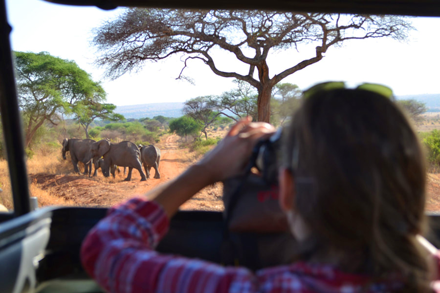 Eine Frau mit einem Fernglas in einem Safarifahrzeug beobachtet Elefanten