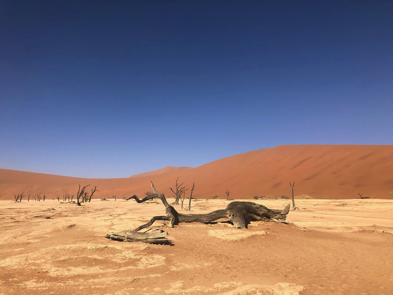 Wüste und rote Dünen im strahlenden Sonnenschein
