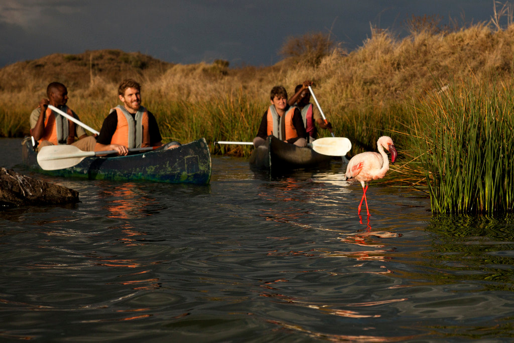 Mehrere Kajak-Fahrer in einem Bachbett in dem ein rosafarbener Flamingo steht