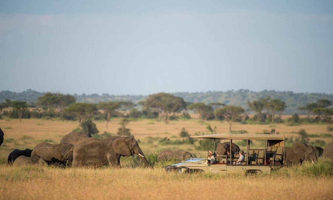 Ein Safariauto neben mehreren Elefanten in der afrikanischen Steppe