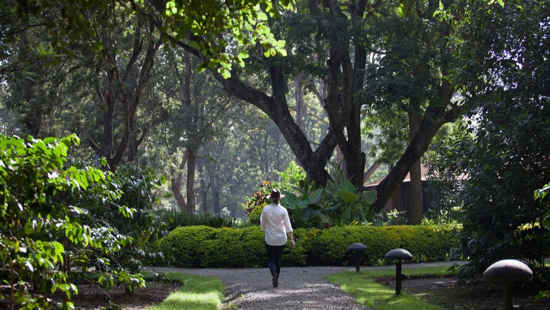 Eine Frau mit einem Hut spaziert durch eine grüne Parkanlage