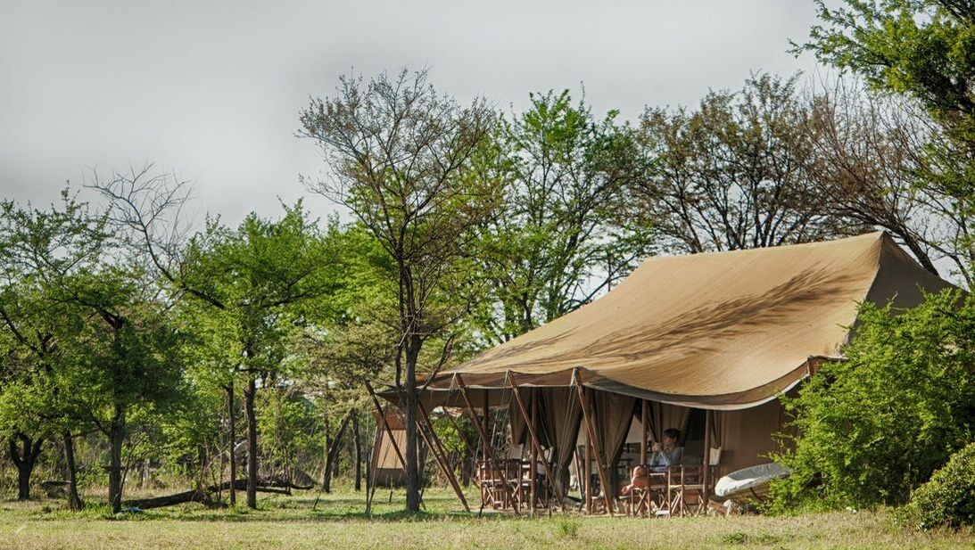 Ein großes Zelt unter vielen Bäumen in der grünen Natur in Tansania