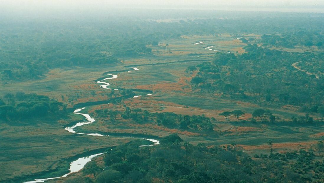 Blick auf einen reflektierenden Fluss inmitten einer üppigen und bewachsenen Landschaft in Afrika