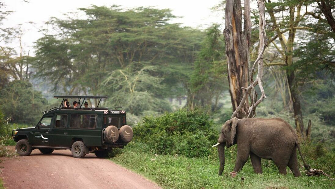 Ngorongoro Crater Lodge Activities and Adventures