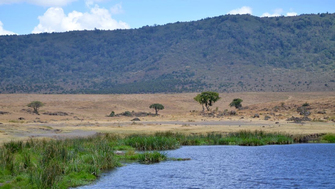 Ein See neben einer spärlich bewachsenen Steppe im Ngorongoro Krater