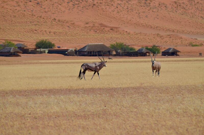 Namibrand Schutzgebiet