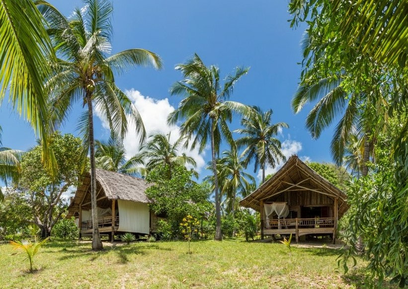Zwei traditionelle Gebäude in einem Palmenwald im Sonnenschein
