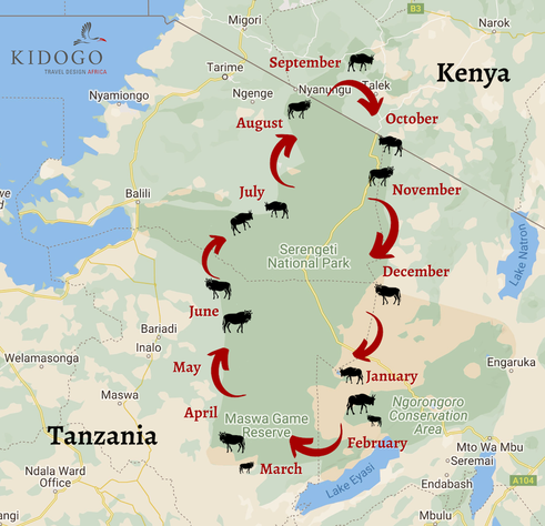 The Great Wildebeest Migration Map, Tanzania