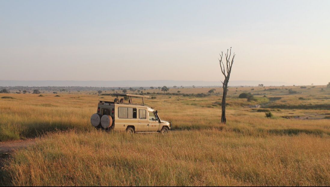 Ein Safari-Auto steht in einer grünen Wise in Tansania