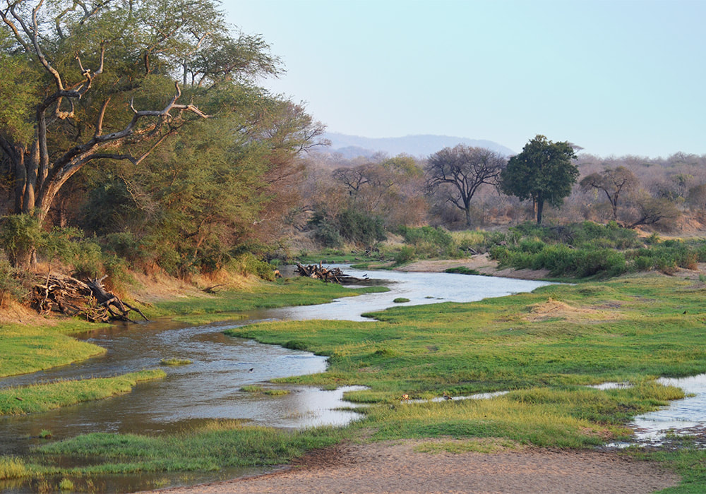 Ein Fluss fließt durch ein Stück Wald in Afrika