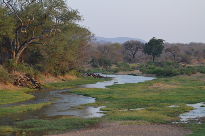 Ein Fluss fließt durch ein Stück Wald in Afrika