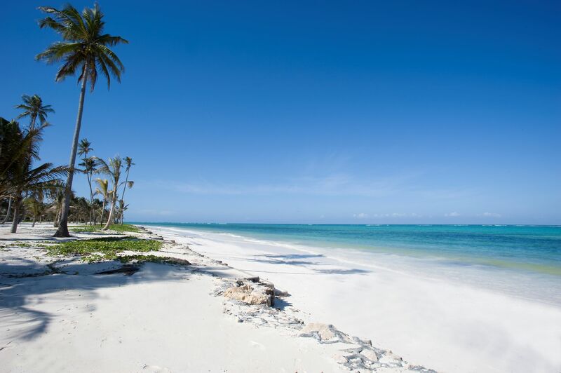Ein langer weißer Sandstrand mit Palmen am strahlend blauen Meer