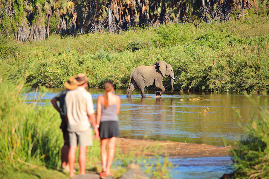 Drei Personen am Ufer eines Flusses beobachten einen Elefanten im Wasser